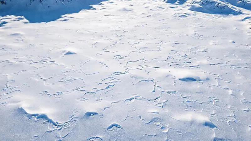 A photorealistic, high-angle drone shot of a vast, untouched snowfield in a remote mountain range, with intricate patterns of fresh powder blown by the wind, indicating recent snowfall. The light highlights subtle textures and undulating terrain, conveying a sense of pristine wilderness and perfect conditions for skiing. No human presence or tracks are visible. Cinematic lighting, sharp focus, depth of field extending to distant peaks, 8K hyper-detailed. A photorealistic, high-angle drone shot of a vast, untouched snowfield in a remote mountain range, with intricate patterns of fresh powder blown by the wind, indicating recent snowfall. The light highlights subtle textures and undulating terrain, conveying a sense of pristine wilderness and perfect conditions for skiing. No human presence or tracks are visible. Cinematic lighting, sharp focus, depth of field extending to distant peaks, 8K hyper-detailed.