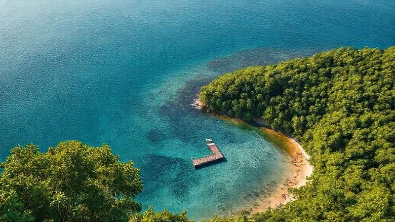 A photorealistic overhead shot of a tranquil, hidden cove with crystal-clear water, a small private dock, and lush green jungle extending to the shoreline, early morning light, sharp focus, 8K, professional photography, depth of field. A photorealistic overhead shot of a tranquil, hidden cove with crystal-clear water, a small private dock, and lush green jungle extending to the shoreline, early morning light, sharp focus, 8K, professional photography, depth of field.