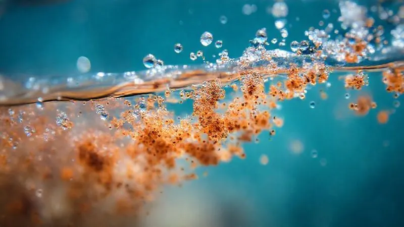 A macro shot of incredibly clear ocean water, showing microscopic plankton and sediment particles suspended, illuminated by underwater light, photorealistic, professional photography, 8K, cinematic lighting, sharp focus, depth of field.