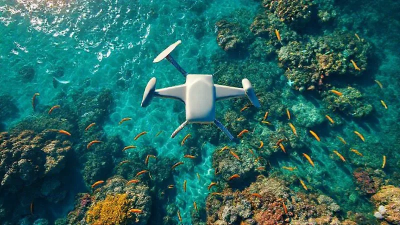 An aerial drone shot looking down into a vibrant, healthy coral reef teeming with colorful fish, visible through incredibly clear turquoise water, sunlight dappling the surface, photorealistic, professional photography, 8K, cinematic lighting, sharp focus, depth of field.