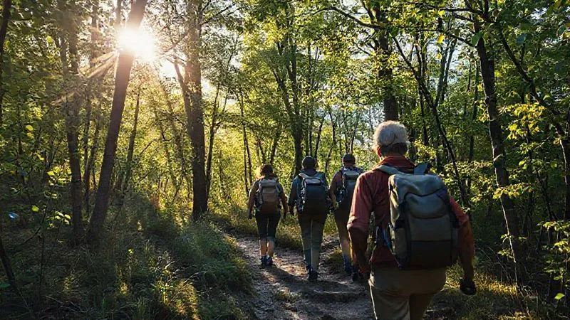 A photorealistic, professional photography, 8K, cinematic lighting, sharp focus, depth of field, shot on a high-end DSLR, of a small group of hikers, led by a knowledgeable guide, traversing a serene, less-traveled trail in a national park. The sun is filtering through the trees, highlighting the lush foliage, with a sense of discovery and respectful engagement with nature. A photorealistic, professional photography, 8K, cinematic lighting, sharp focus, depth of field, shot on a high-end DSLR, of a small group of hikers, led by a knowledgeable guide, traversing a serene, less-traveled trail in a national park. The sun is filtering through the trees, highlighting the lush foliage, with a sense of discovery and respectful engagement with nature.