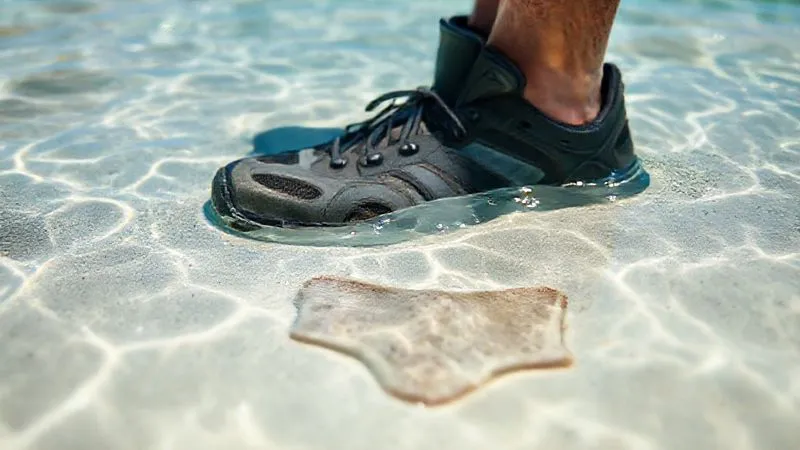 A photorealistic close-up of a pair of sturdy water shoes partially submerged in clear, shallow tropical water on a sandy bottom, with a subtle, blurred stingray shape just beneath the sand nearby, illustrating caution and protection. Professional photography, 8K, cinematic lighting, sharp focus on the shoes, depth of field blurring the background, shot on a high-end DSLR. A photorealistic close-up of a pair of sturdy water shoes partially submerged in clear, shallow tropical water on a sandy bottom, with a subtle, blurred stingray shape just beneath the sand nearby, illustrating caution and protection. Professional photography, 8K, cinematic lighting, sharp focus on the shoes, depth of field blurring the background, shot on a high-end DSLR.