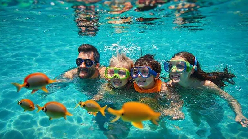 A photorealistic professional photography, 8K, cinematic lighting, sharp focus, depth of field, shot on a high-end DSLR. A diverse family, including parents and two children, happily snorkeling in clear, calm tropical waters, wearing rash guards and looking at colorful fish from a respectful distance, embodying safe and joyful marine exploration. The scene is vibrant and serene. A photorealistic professional photography, 8K, cinematic lighting, sharp focus, depth of field, shot on a high-end DSLR. A diverse family, including parents and two children, happily snorkeling in clear, calm tropical waters, wearing rash guards and looking at colorful fish from a respectful distance, embodying safe and joyful marine exploration. The scene is vibrant and serene.