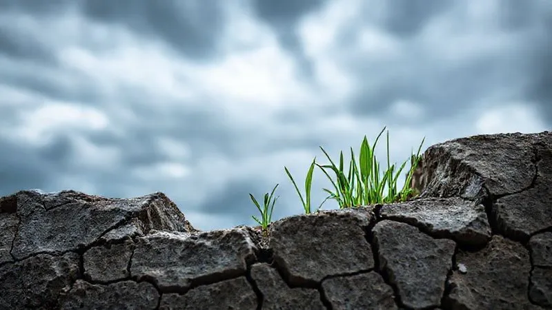 A photorealistic image of a visibly cracked and crumbling stone foundation, with delicate green shoots attempting to grow through the cracks, set against a dramatic, stormy sky. Cinematic lighting, sharp focus on the cracks, depth of field blurring the background, 8K, shot on a high-end DSLR, professional photography. A photorealistic image of a visibly cracked and crumbling stone foundation, with delicate green shoots attempting to grow through the cracks, set against a dramatic, stormy sky. Cinematic lighting, sharp focus on the cracks, depth of field blurring the background, 8K, shot on a high-end DSLR, professional photography.