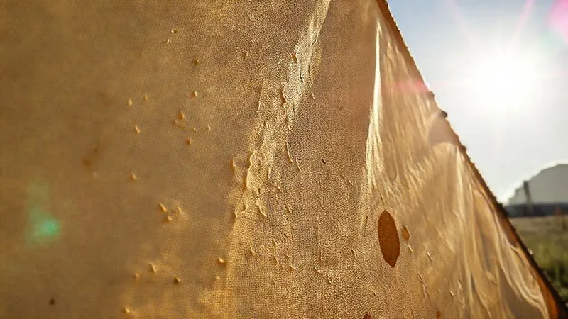 A photorealistic close-up of a weathered canvas tent fabric showing micro-tears and sun-bleached patches, with a backdrop of a harsh, bright sun. Professional photography, 8K, cinematic lighting, sharp focus, depth of field. A photorealistic close-up of a weathered canvas tent fabric showing micro-tears and sun-bleached patches, with a backdrop of a harsh, bright sun. Professional photography, 8K, cinematic lighting, sharp focus, depth of field.