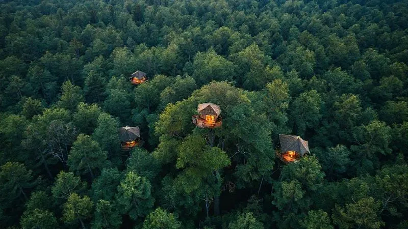 A photorealistic drone shot of a lush, dense forest from above, with several potential treehouse glamping sites subtly highlighted with soft, natural light, indicating careful planning and natural integration. Professional photography, 8K, cinematic lighting, sharp focus, depth of field, shot on a high-end DSLR. A photorealistic drone shot of a lush, dense forest from above, with several potential treehouse glamping sites subtly highlighted with soft, natural light, indicating careful planning and natural integration. Professional photography, 8K, cinematic lighting, sharp focus, depth of field, shot on a high-end DSLR.