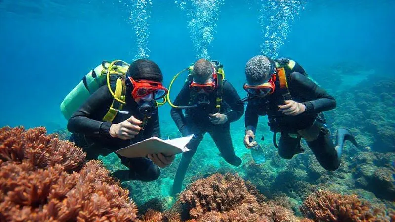 A photorealistic image of a team of marine biologists in full dive gear meticulously surveying a coral reef, one diver is taking notes on an underwater slate, another is using a camera to document coral health, and a third is collecting water samples. The scene is lit by natural underwater light, sharp focus on the divers and their tools, depth of field blurring the distant reef, 8K hyper-detailed, shot on a high-end DSLR. A photorealistic image of a team of marine biologists in full dive gear meticulously surveying a coral reef, one diver is taking notes on an underwater slate, another is using a camera to document coral health, and a third is collecting water samples. The scene is lit by natural underwater light, sharp focus on the divers and their tools, depth of field blurring the distant reef, 8K hyper-detailed, shot on a high-end DSLR.